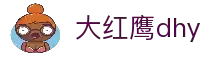 大红鹰dhy(中国)有限公司官网